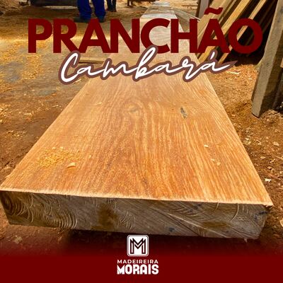 Pranchão Especial 8x30