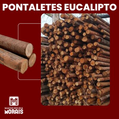 Pontalete Eucalipto 